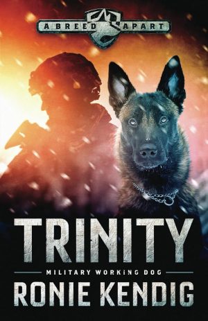 Book cover for Trinity by Author Ronie Kendig